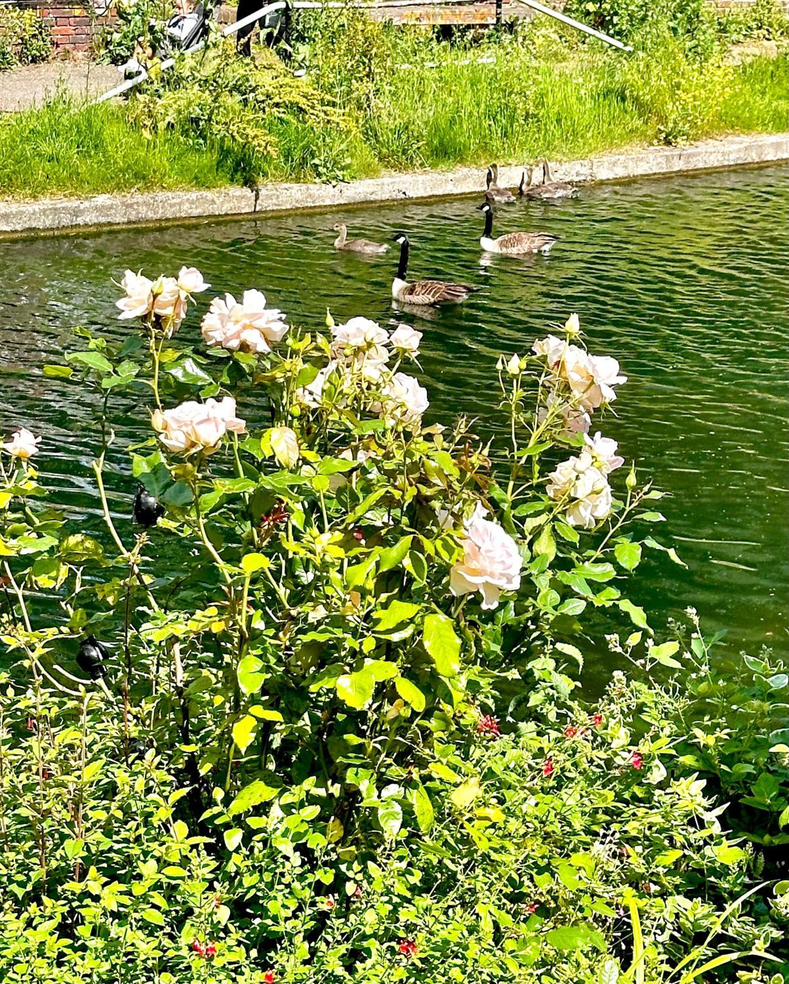 Amazing Location - City Of London- 2 Bedroom Stunning Canal View House With Private Garden,Parking & Balcony Kültér fotó
